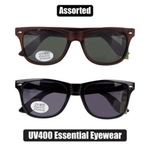 Sunglass ess/unisex modern wayyfarer