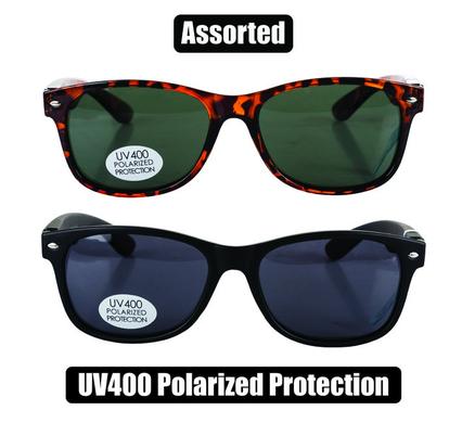 Sunglass pol/unisex classic wayfarer