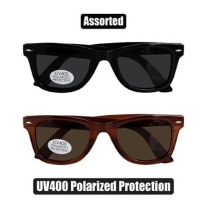 Sunglass pol/unisex classic wayfarer