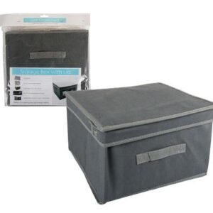 Storage box non-woven 31.5x30x20cm whndl